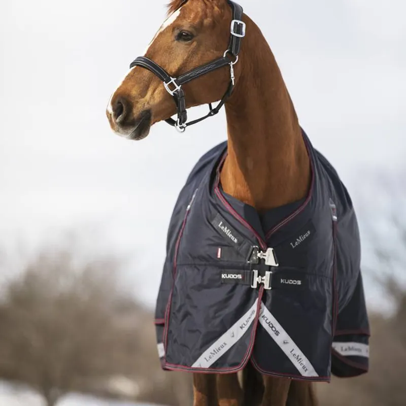 LeMieux Kudos 350g Turnout Rug - Navy-1